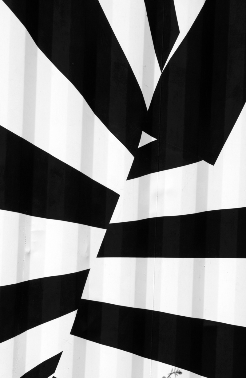 New York_HighLine 2012_2_100x65